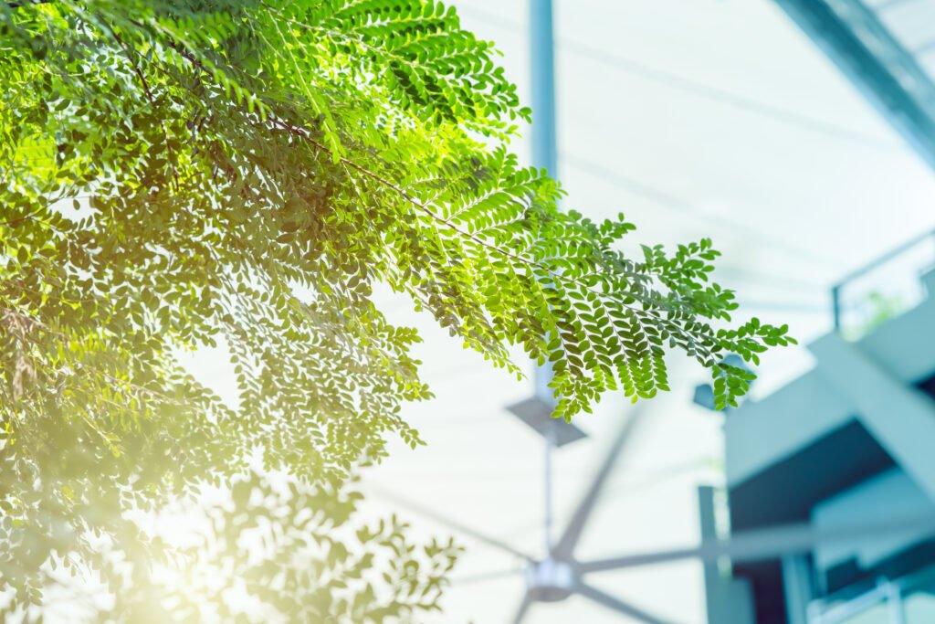 AdobeStock 445325868